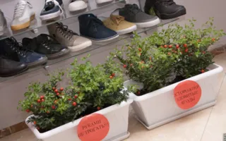 Показ модной коллекции одежды весенне-летнего сезона в магазине «Centre discount»