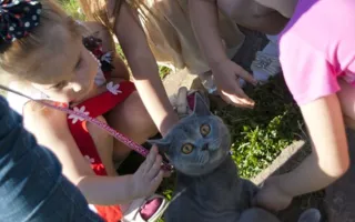 Модный детский показ Fashion Kids Day в «Аквамарине»